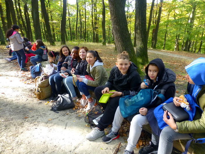 Vorschaubild Bericht „Waldschule“